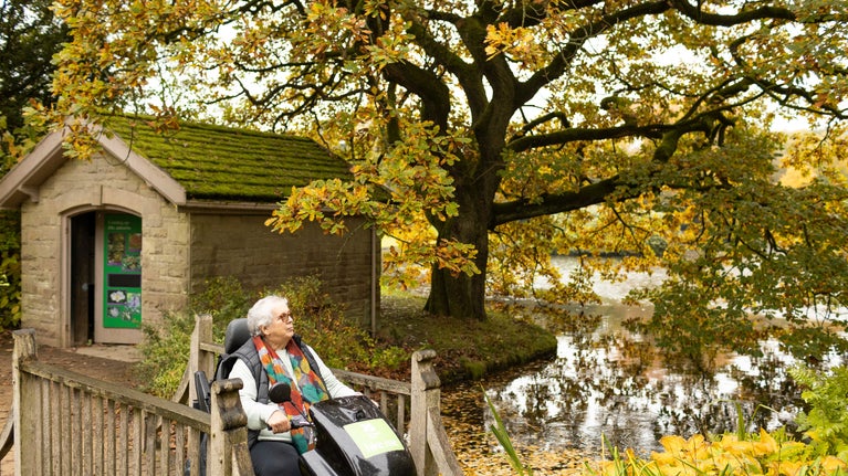 A visitor exploring the garden at Lyme, Cheshire on a tramper in autumn
